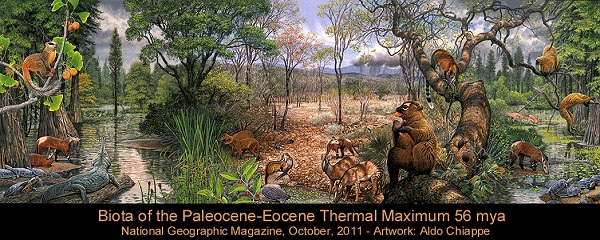 Biota of PETM: Paleocene-Eocene Thermal Maximum - evolution-involution.org Biota of PETM: Paleocene-Eocene Thermal Maximum - evolution-involution.org